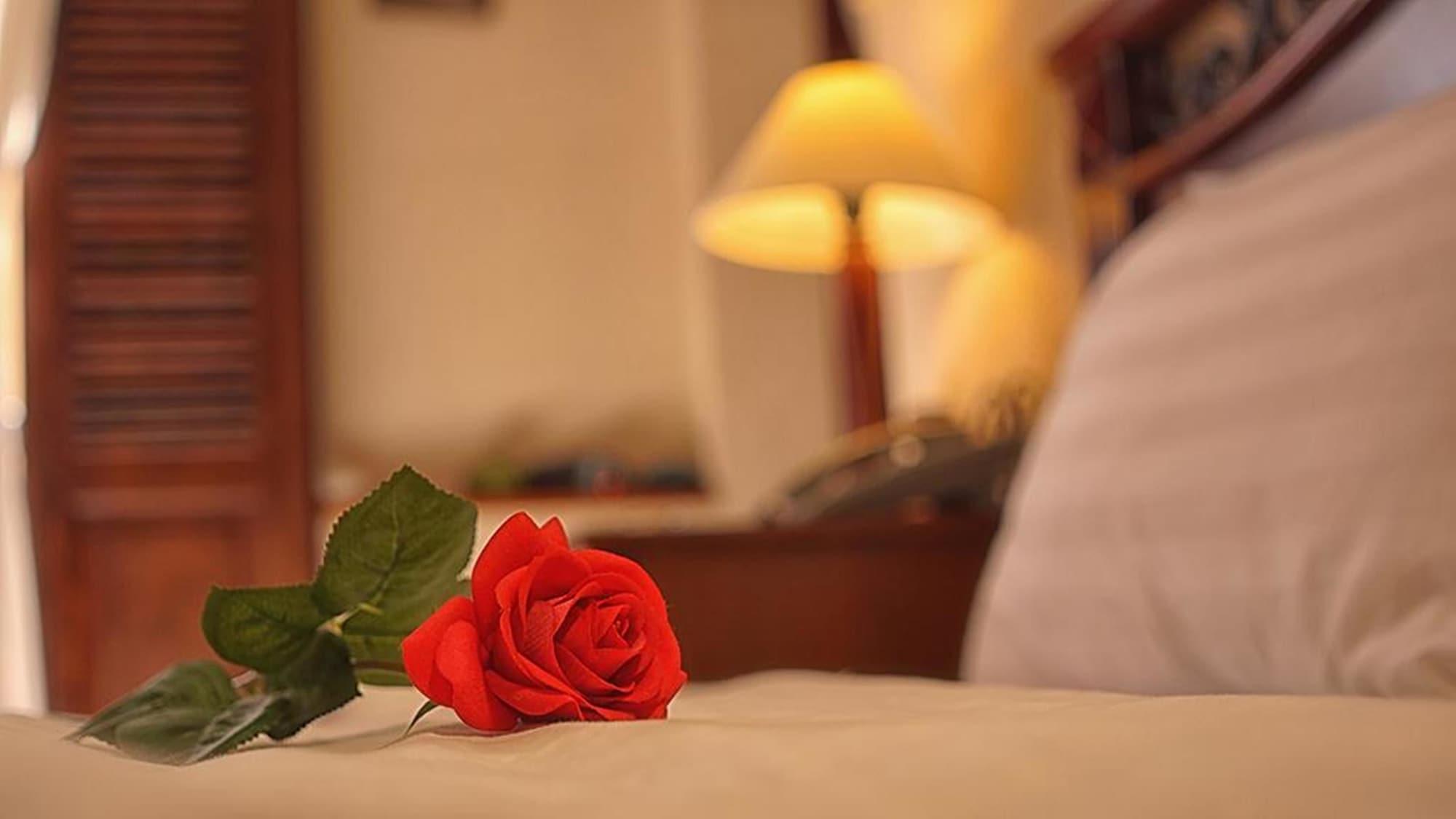 Cam Ly Boutique Apartment & Hotel مدينة هوشي منه المظهر الخارجي الصورة